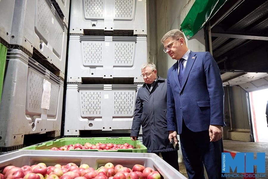 The apples are ready, the potatoes are in the process. V. Kukharev estimated the reserves of the stabilization fund of Minsk