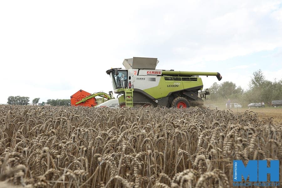 Производство сельхозпродукции в Беларуси выросло на 4,6 % в январе — сентябре 2026 года