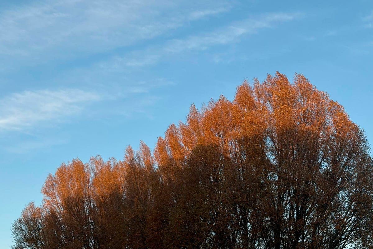 Region Lipetsk am 28. Oktober wartet auf ruhiges Herbstwetter