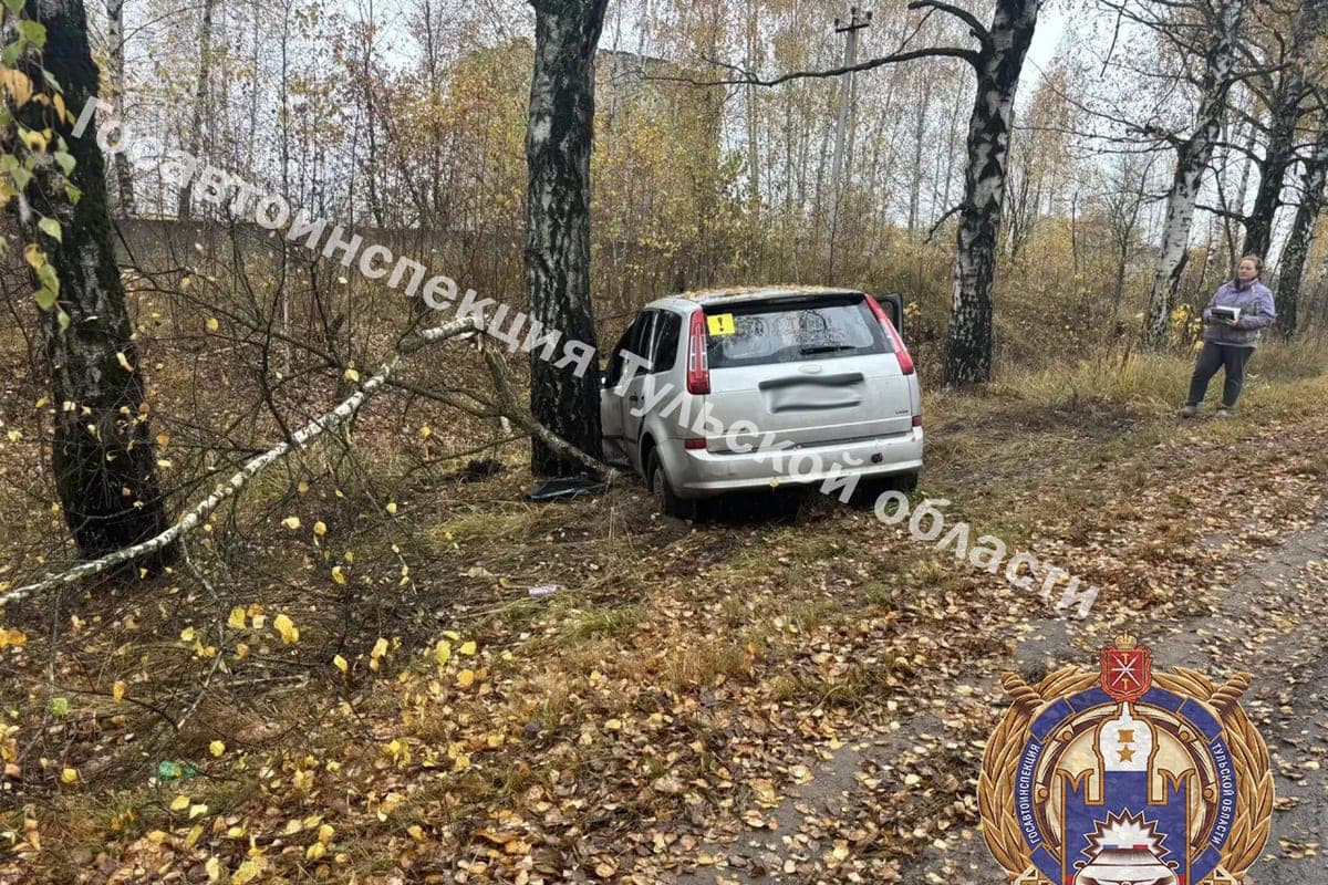 In Shchekinsky district, Ford with a novice auto lady and a child flew into a birch