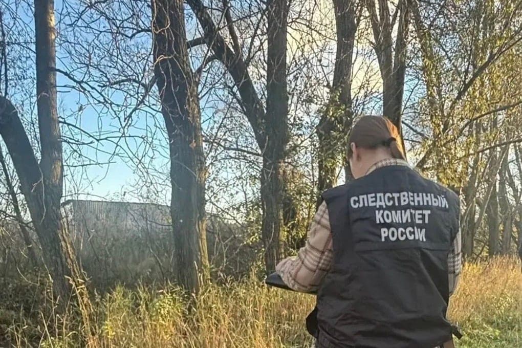Am Stadtrand von St. Petersburg wurde ein zerstückelter Körper in einem Paket gefunden, und ein Neuseeländer kam in die Region Amur, um den Traum seines Großvaters zu erfüllen: ein Bild des Tages in den Regionen Russlands durch die Augen von "MK"