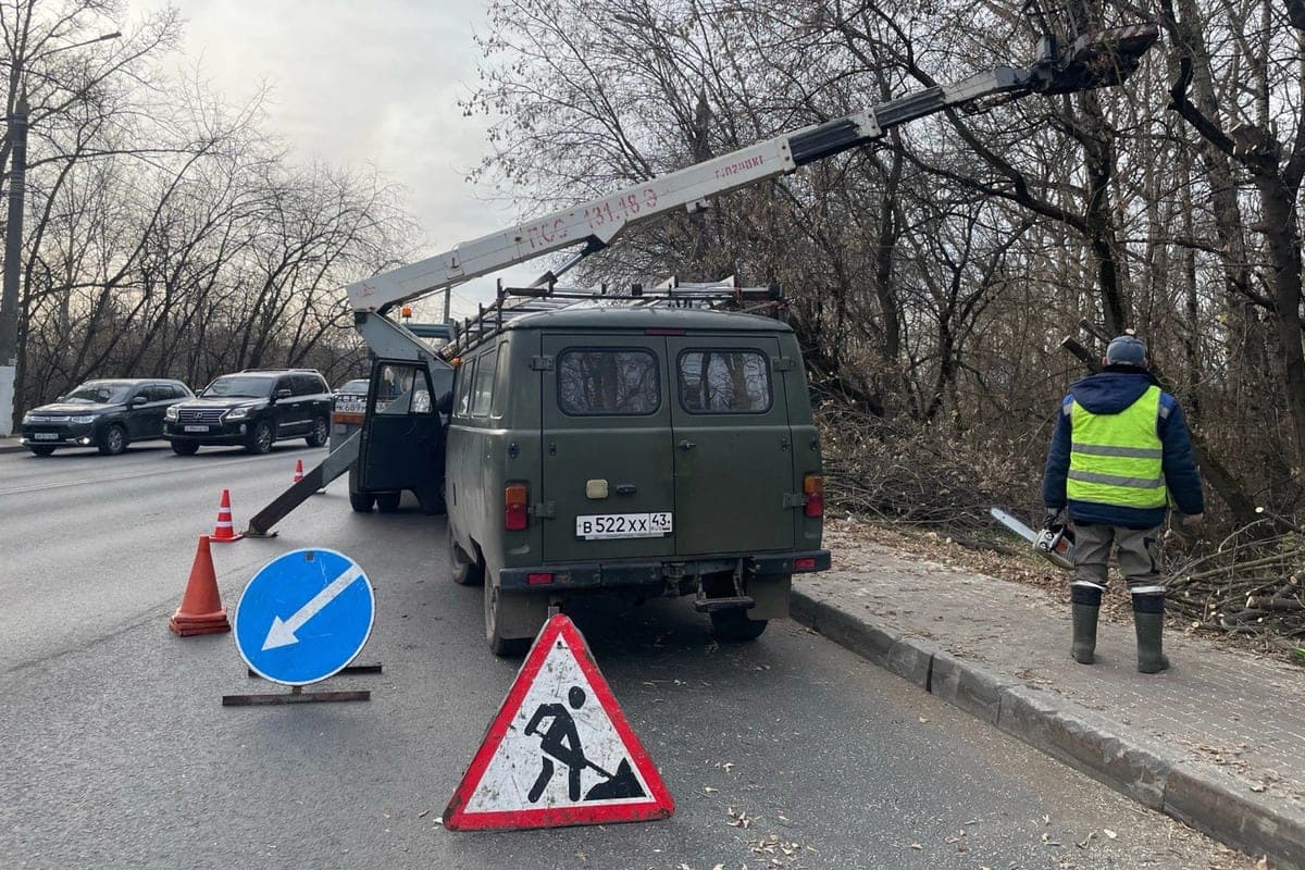 In Kirov will partially limit the movement due to felling of emergency trees