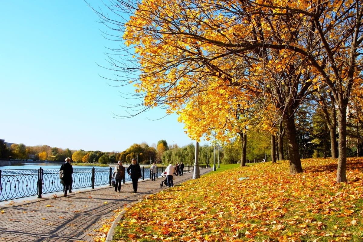 In Omsk on October 10 will warm up to +10 degrees