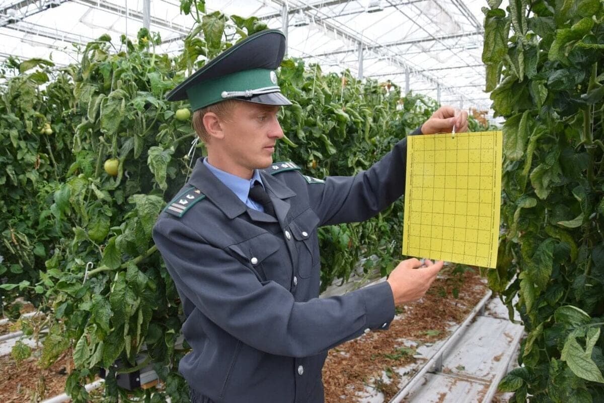 На Орловщине завершился фитомониторинг