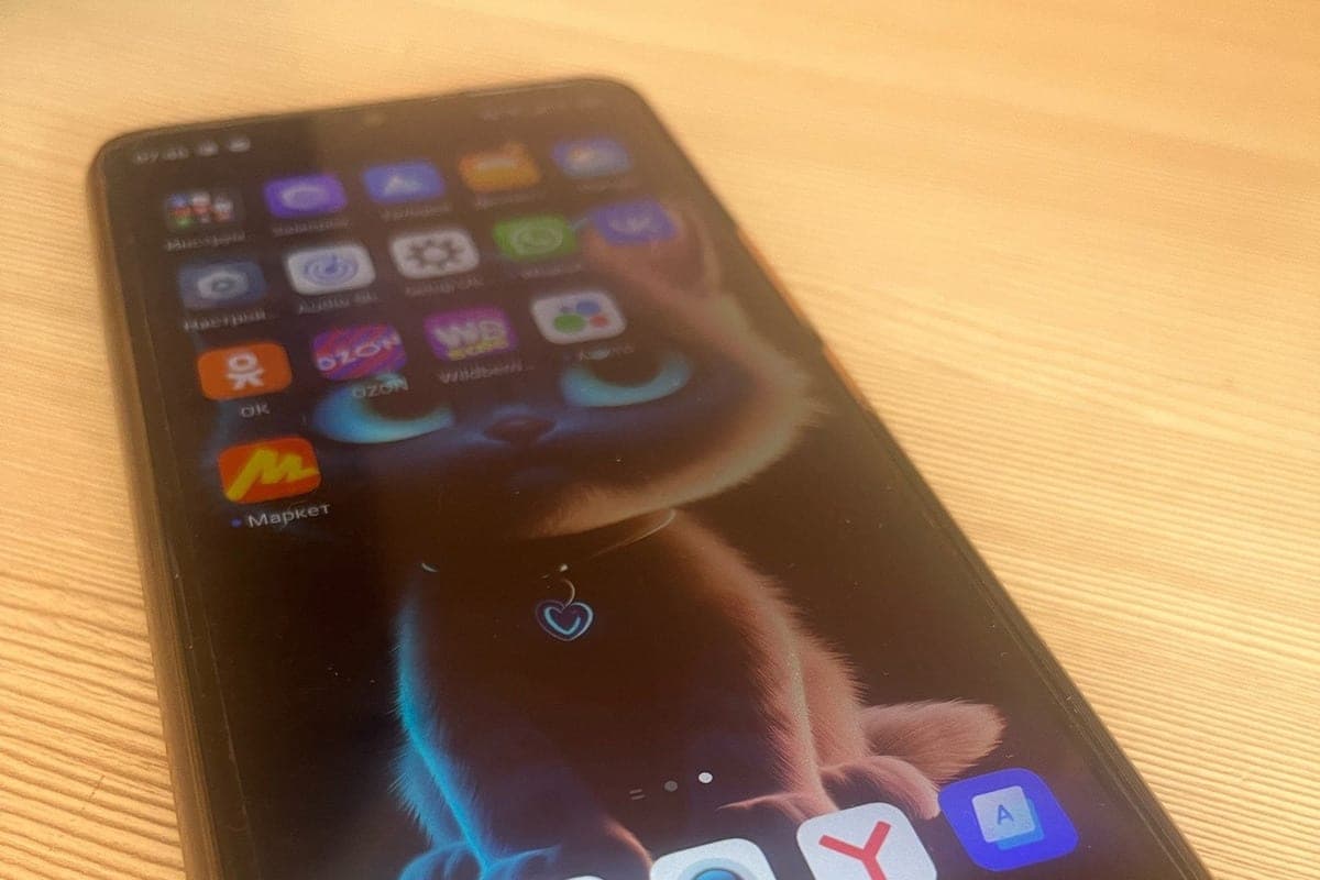Orlovchanka robó de un nuevo conocido 17 mil con la ayuda de su teléfono