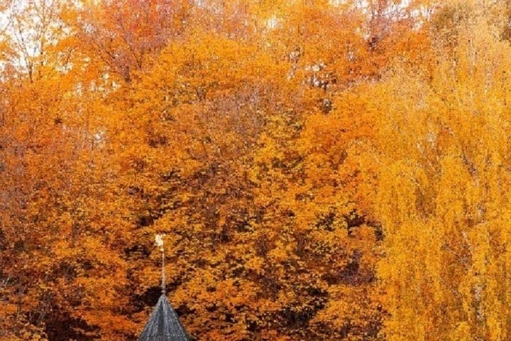 20 октября в Нижегородской области переменная облачность и до +11°C
