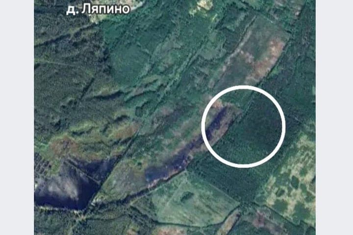 In the vicinity of Yaroslavl saw a large bear