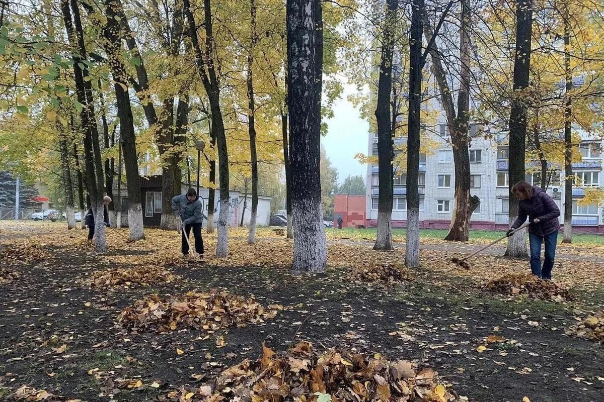 In Bryansk, more than 120 employees of administrations went to clean up urban areas