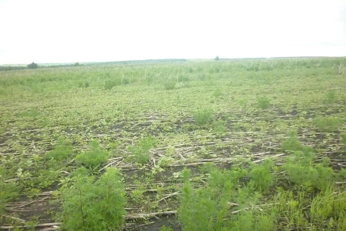 В Пензенской области вернули в сельхозоборот 560 гектаров заброшенных земель