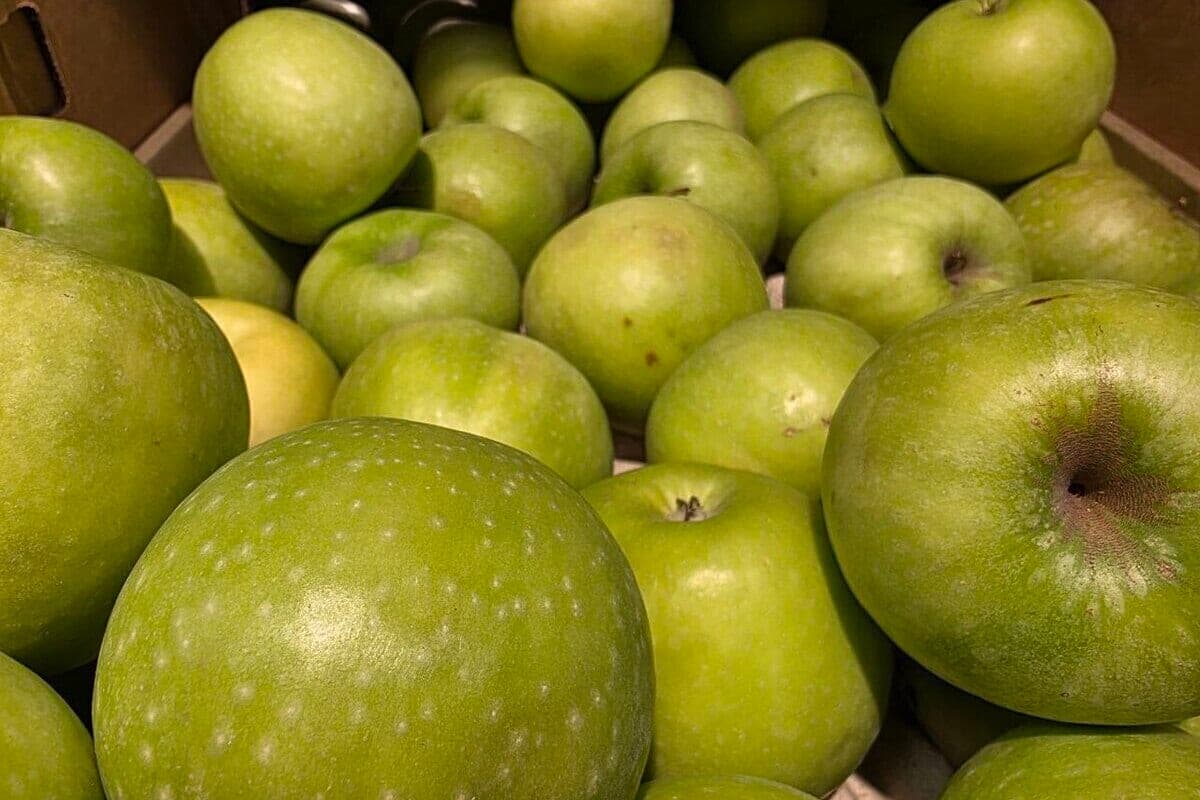 Les agriculteurs de Krasnodar ont recueilli 18,5 milliers de tonnes de légumes, fruits et baies