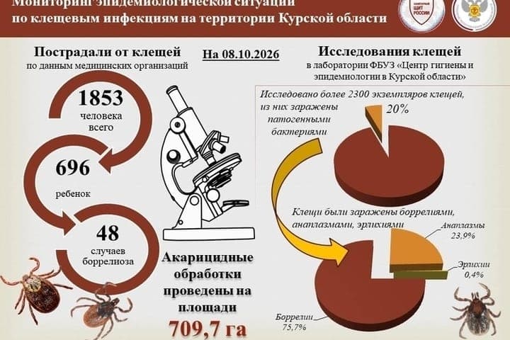 Ticks dans la région de Kursk bit 691 enfants depuis le début de l'année