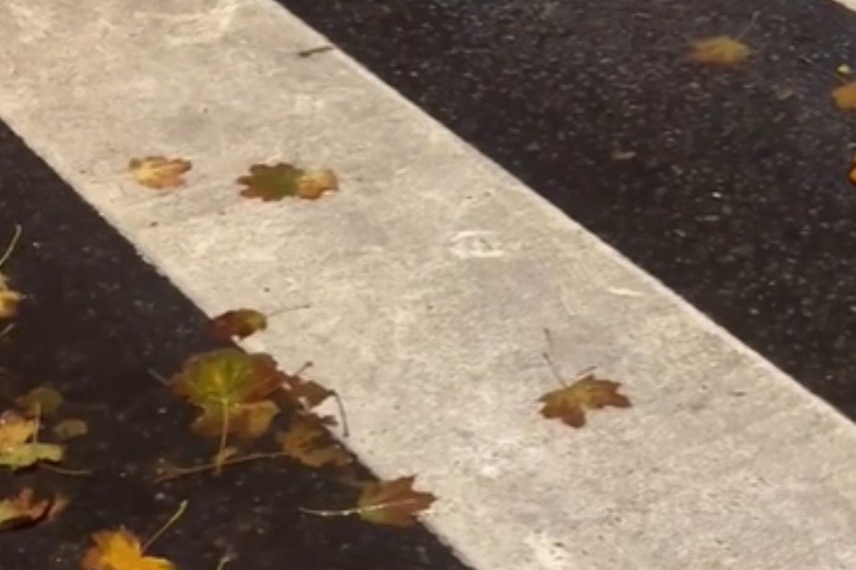 A teenager on a scooter was hit by a foreign car near a pedestrian crossing in Taganrog