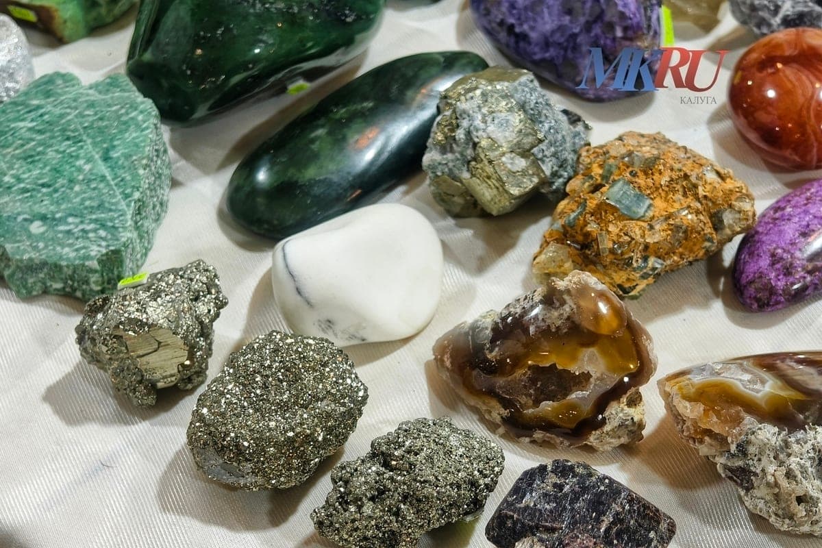 In Kaluga opened a fair of gems from around the world