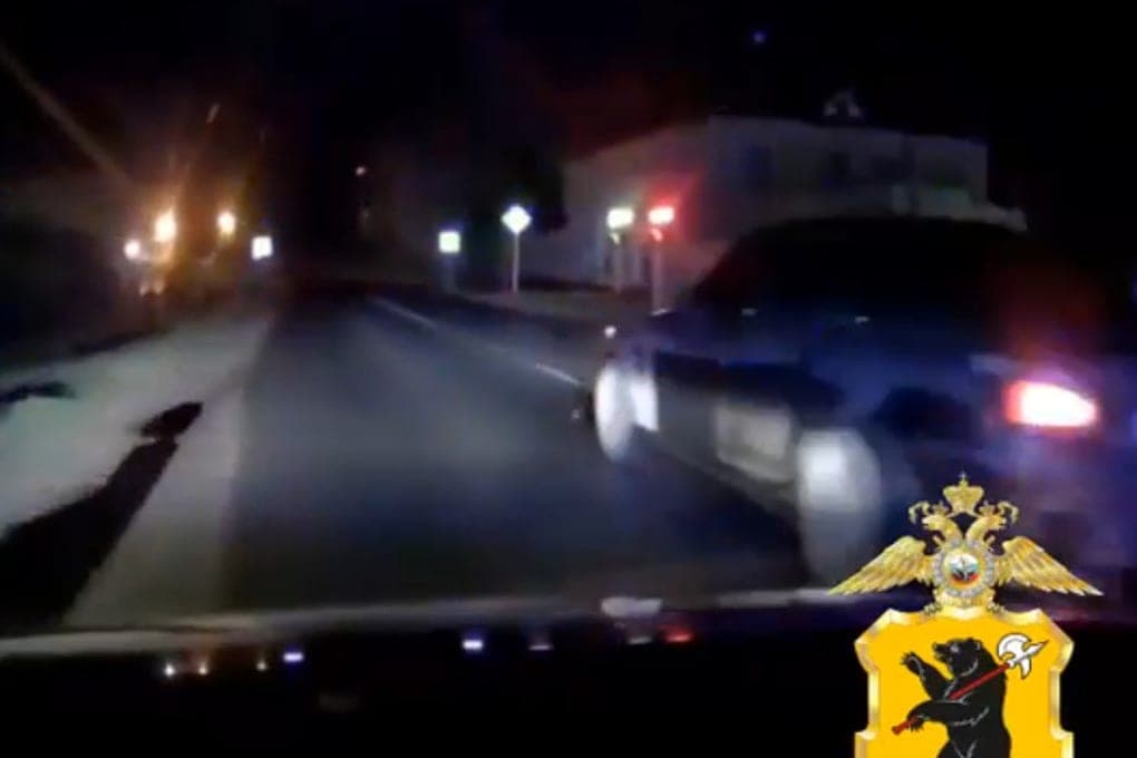 In Yaroslavl, the number of drunk drivers increased