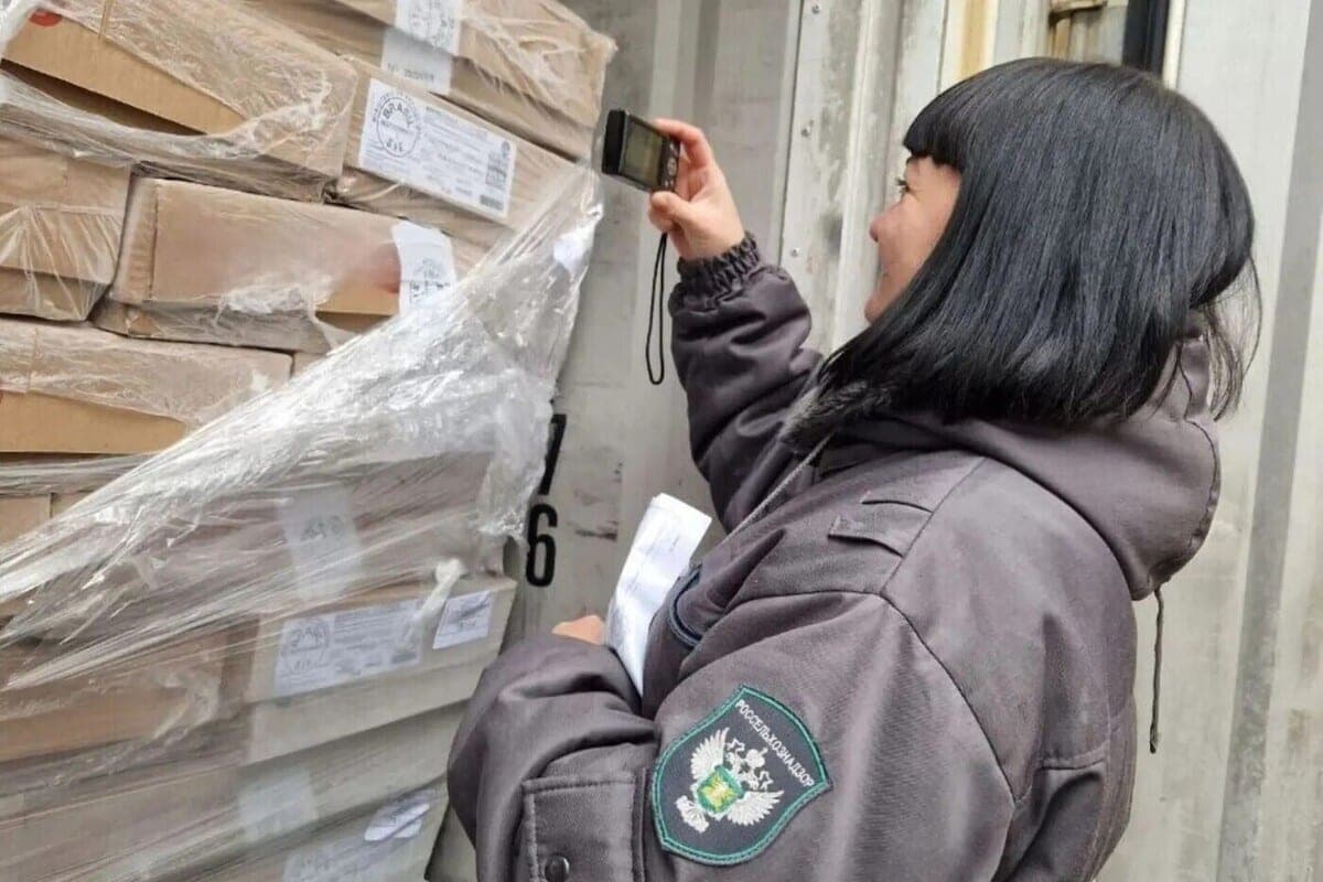 В Калининградскую область ввезли сотни тонн мяса из четырёх стран
