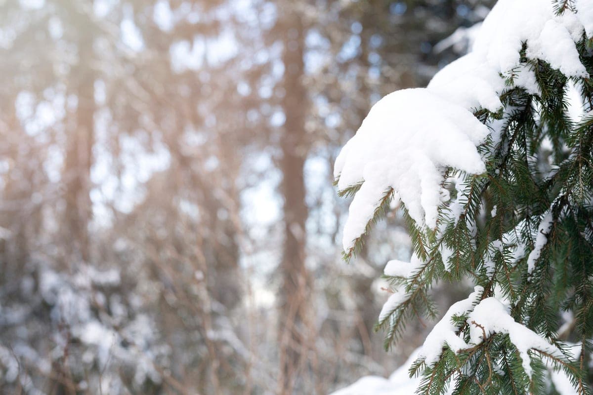 In Krasnoyarsk on Thursday, October 29, colder to -6 degrees