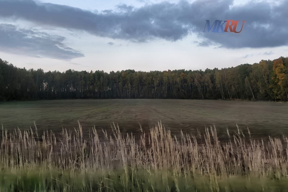 Kaluga scientists tested crops in the fields
