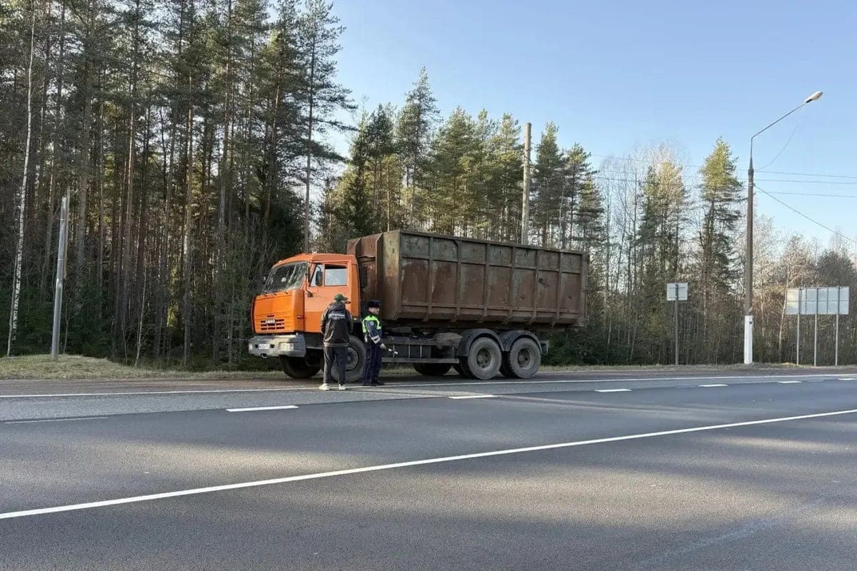 В Ленобласти за неделю провели три масштабные облавы на грузоперевозчиков