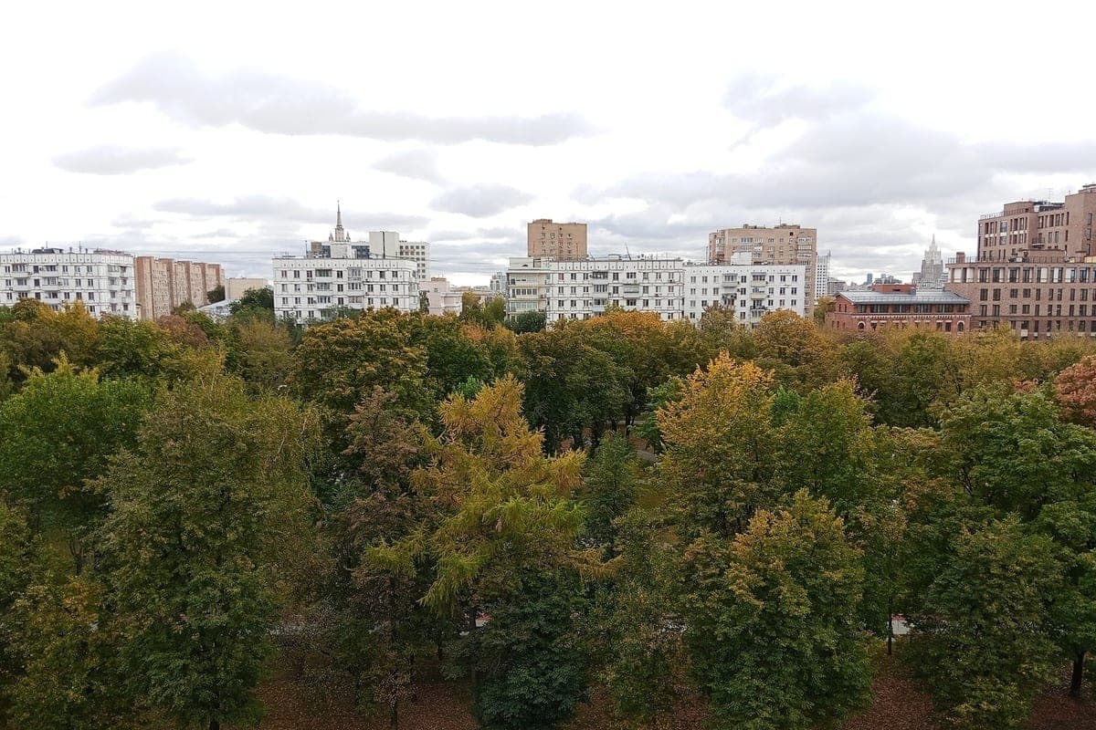 Meteorologist told what the weather will be on the weekend in Moscow and the region