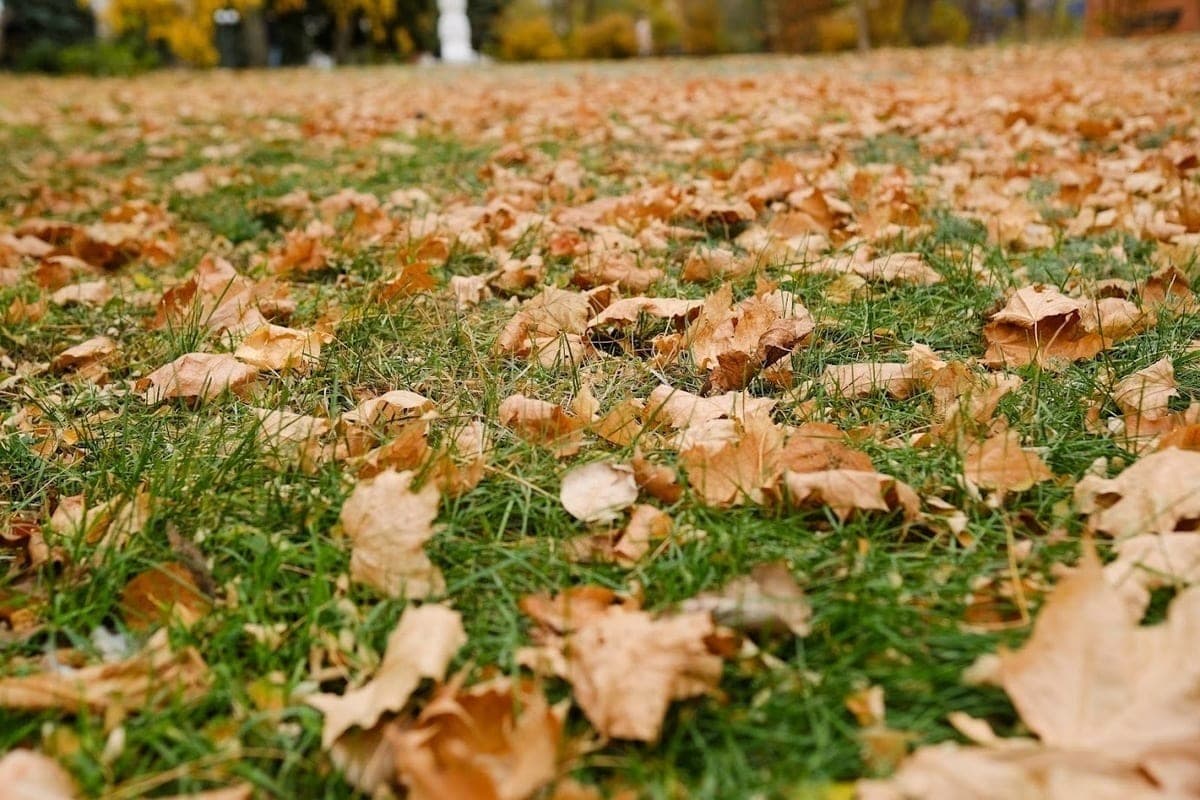 وُعد سكان فولغوغراد برياح عاصفة في 28 أكتوبر وحتى +19درجة مئوية