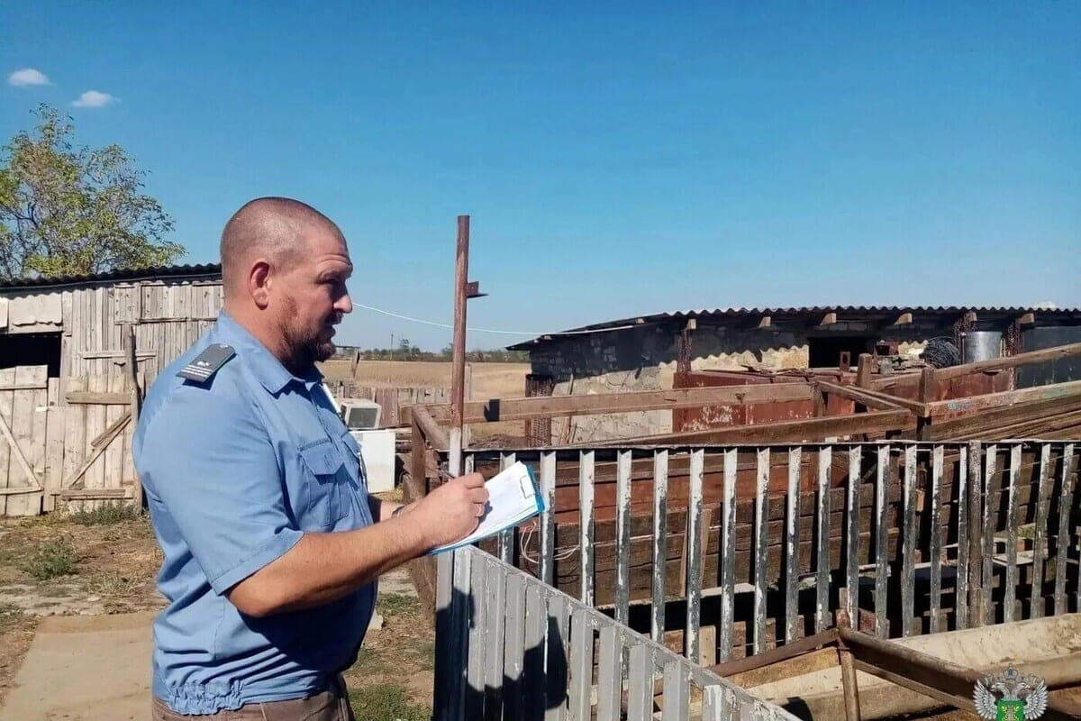 У фермера под Мелитополем нашли 179 незарегистрированных овец