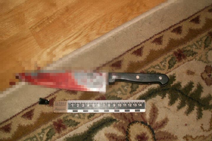 The court sentenced the Tula woman Zmeikova, who stabbed her roommate after the guests left