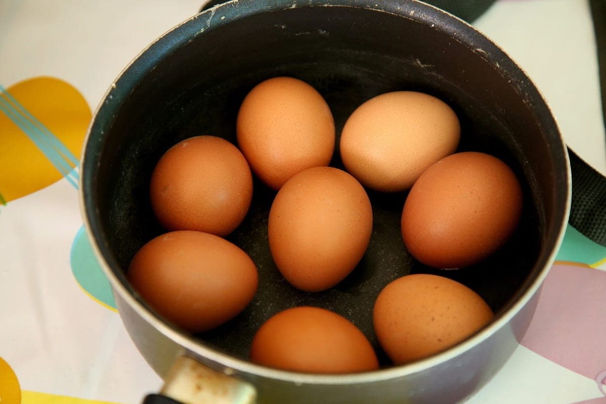 Россиян предупредили об изменении цен на один популярный белковый продукт
