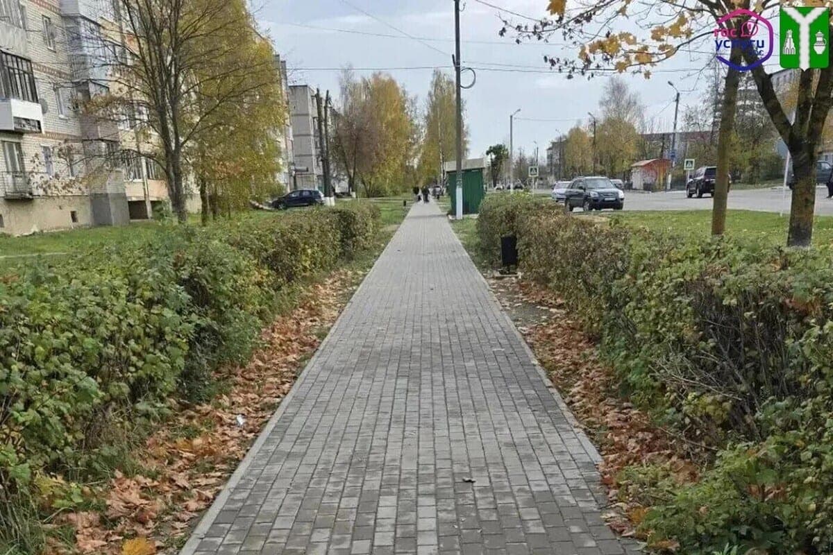 In Kaluga Kirov respected pedestrians