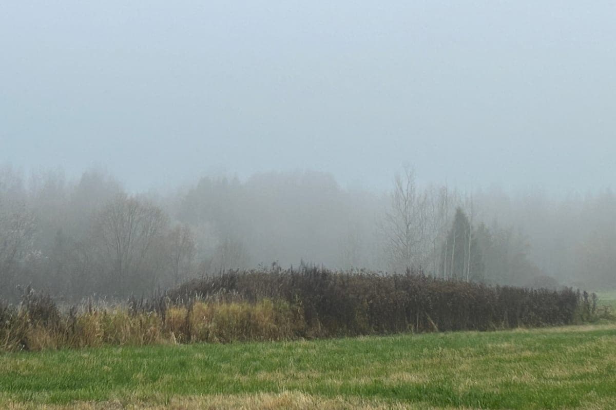 Variable October weather persists in the Vologda region