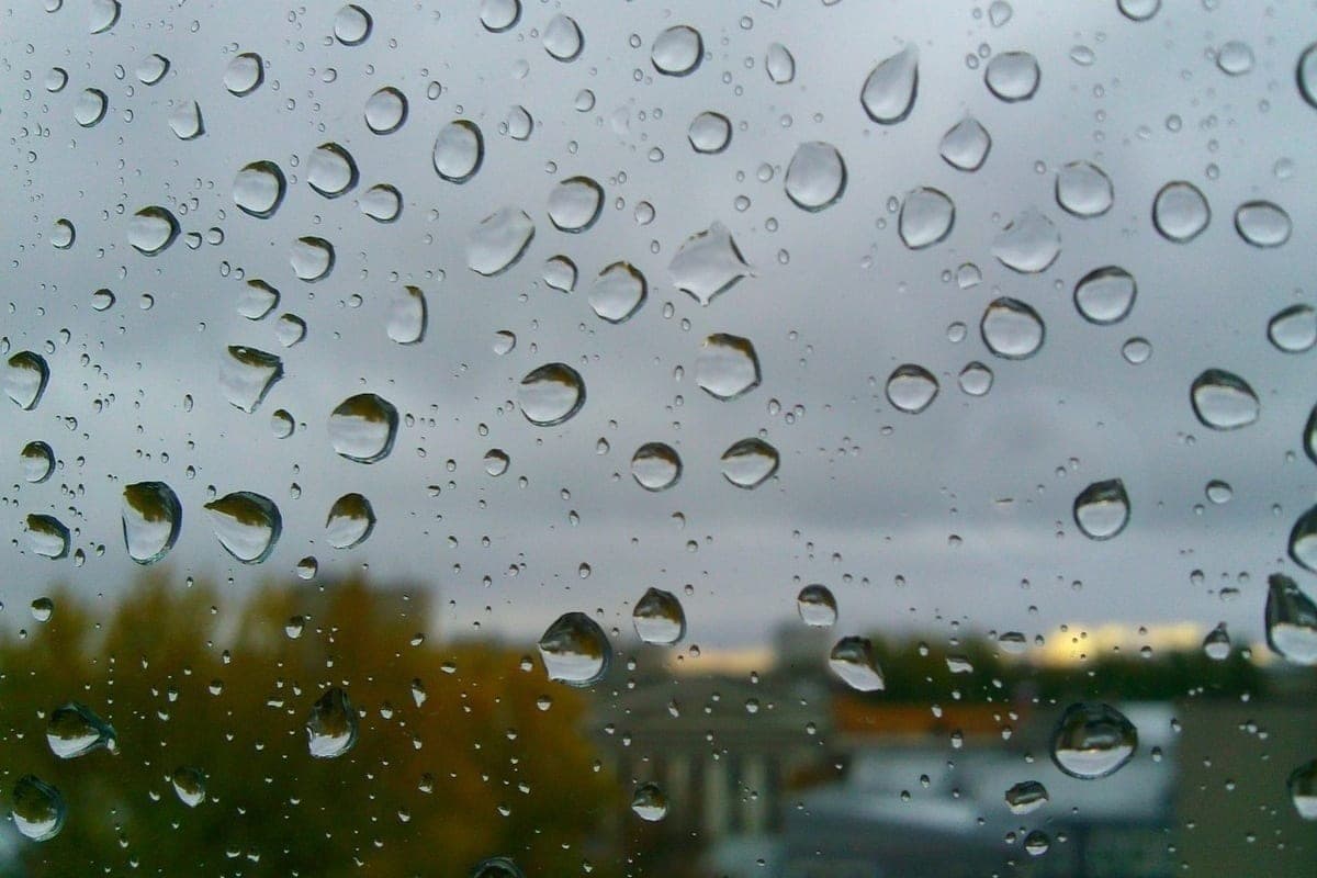 Downpours, strong wind and up to +23 ° C is expected on October 19 in the Krasnodar Territory