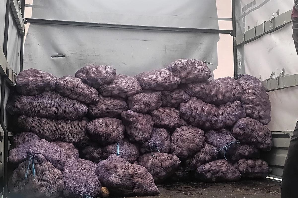 Oryol volunteers delivered 4 tons of potatoes to the Kursk region