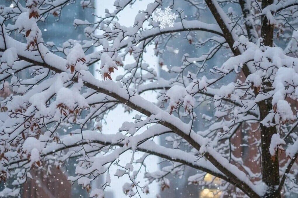 Снег, порывистый ветер и до -8°C: погода в Иркутской области и Иркутске на 19 октября