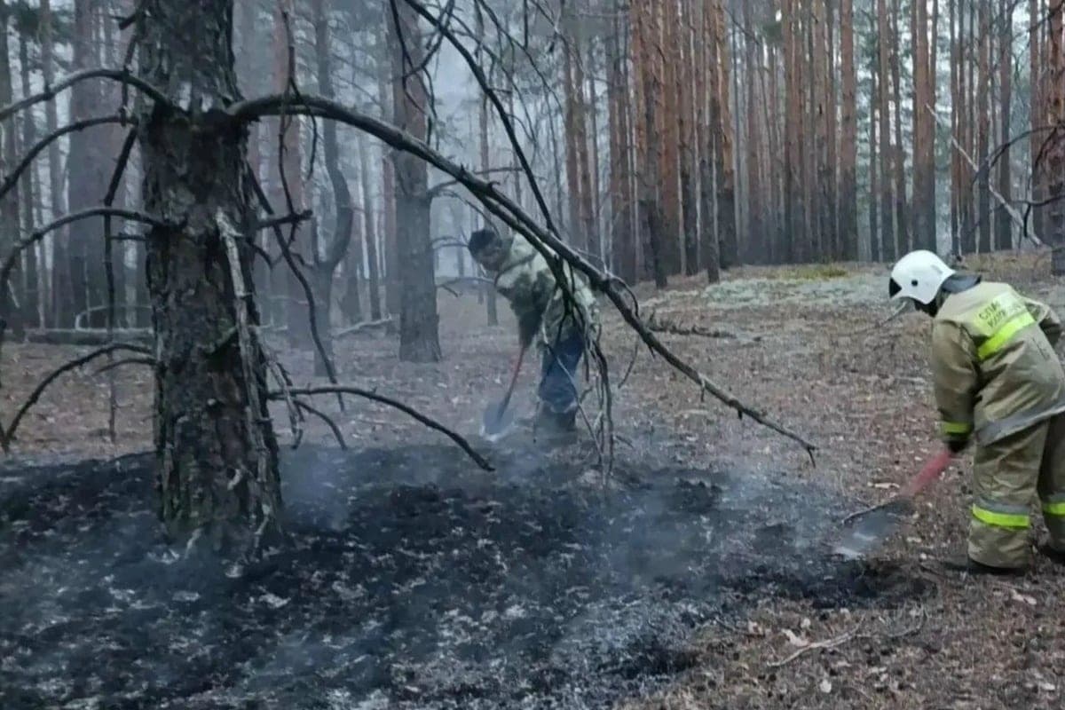 Two thousand squares of land burned a fire under a farm in the Rostov region