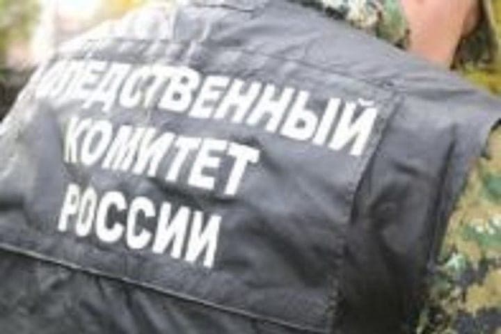 Kostroma SUSK will check information about homeless dogs in Nei