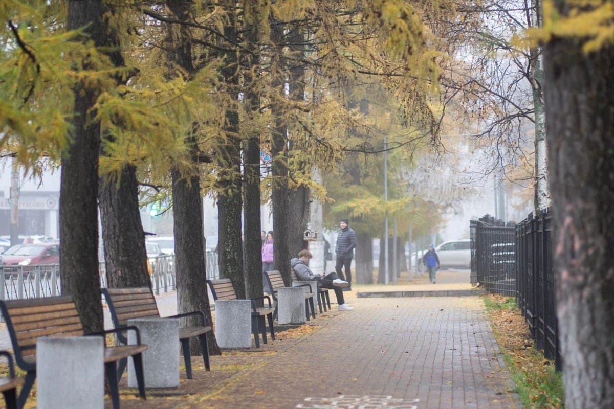 Weather in Pomorie on October 14: frost and gusty wind