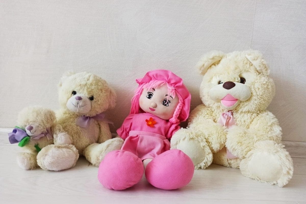 In Kostroma started a competition of projects of clubs “Young family”