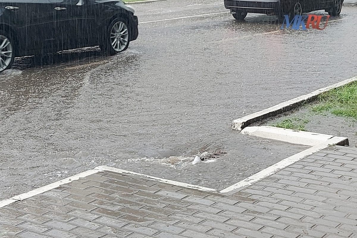 من بركة إلى شجرة: في كالوغا، أصيب سائق من طراز GAZ
