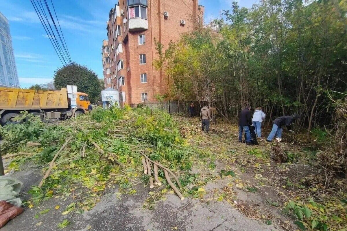 In Ryazan, within the framework of Saturday, 14 public territories were put in order