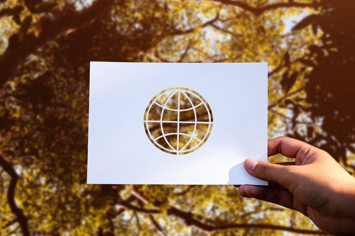 The Vernadsky Foundation opens applications for the XXIV National Environmental Award