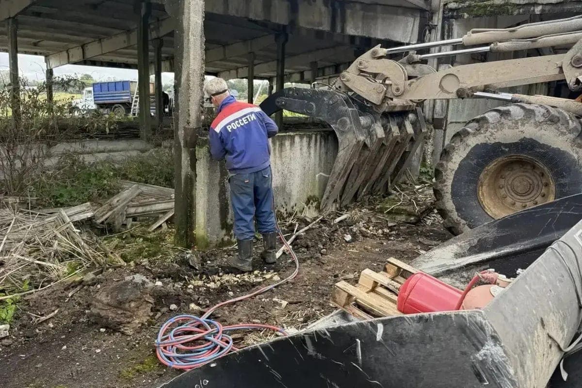 In the Volosov district on the land of the plant with a 30-year history demolished a dangerous building