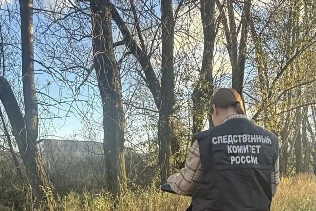 В Петербурге расследуют убийство после обнаружения останков в сумке и пакетах