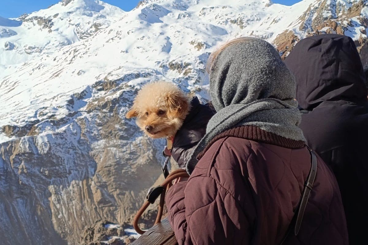 A Moscou ouvrira une exposition du patrimoine soviétique d'Elbrus