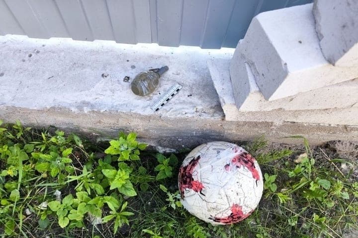 In Goose-Crystal man threw a dummy grenade to neighbors