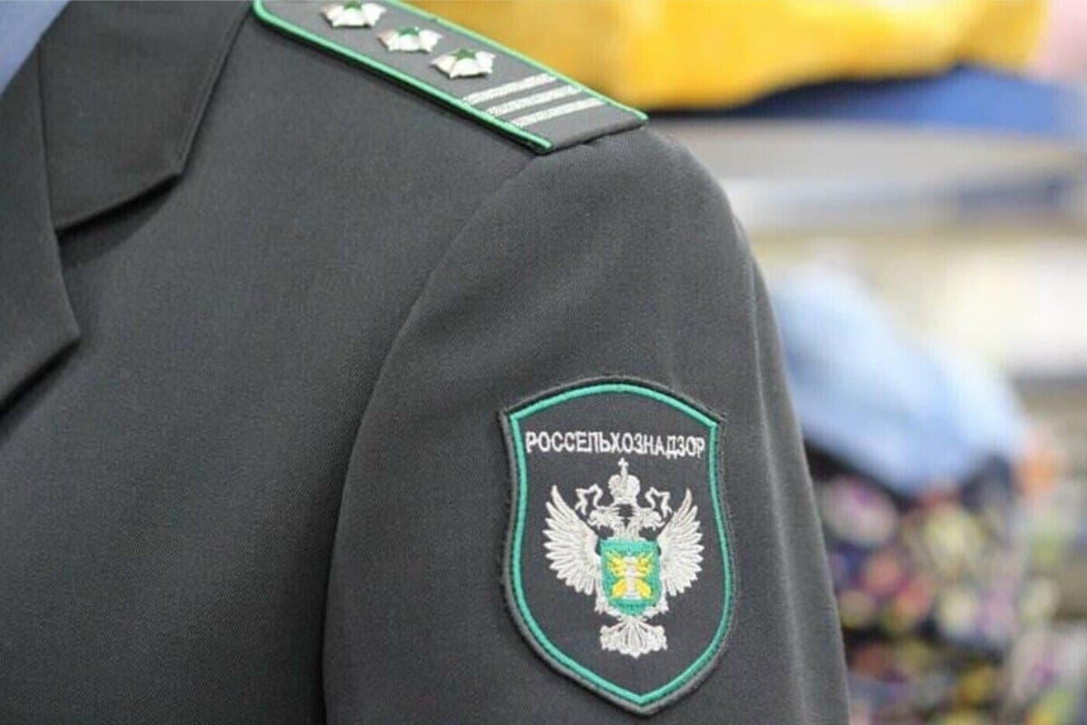 В Орловской области выявили подозрительную «Докторскую колбасу»