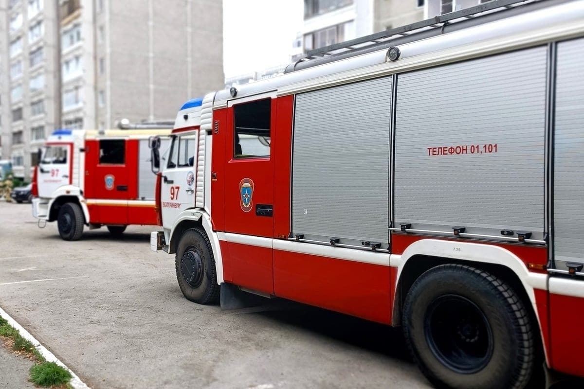 В Каменском округе произошел пожар в саду