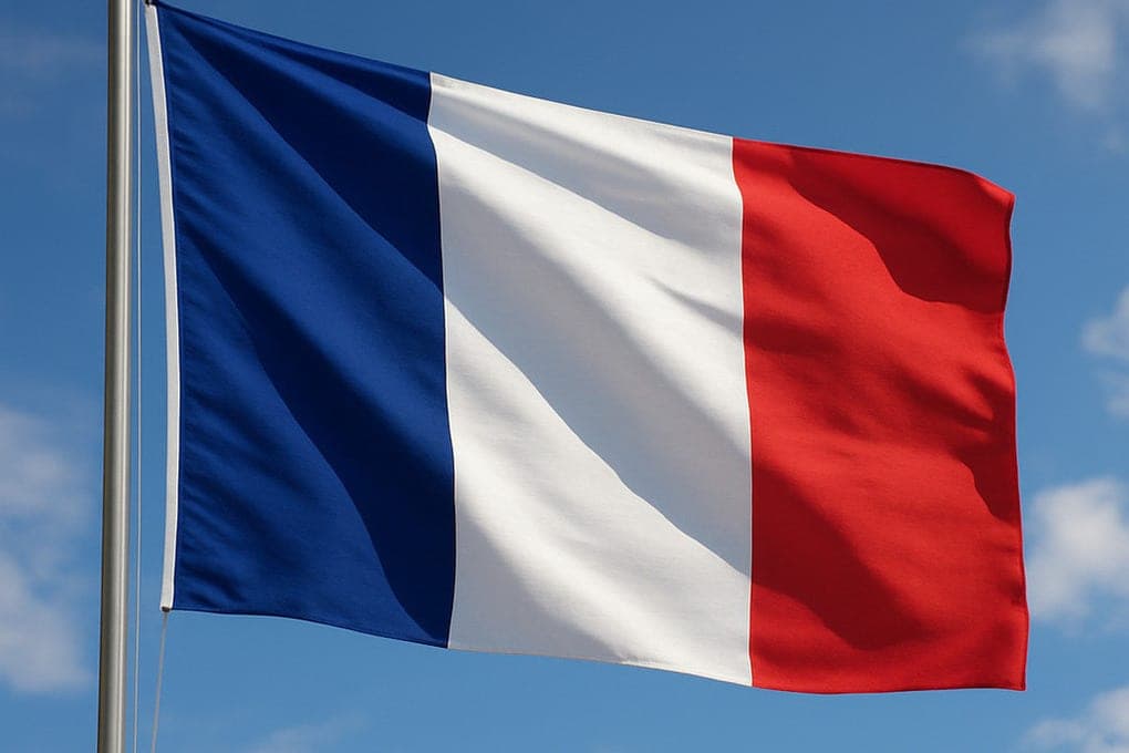 Les manifestations vont s'intensifier : la France a prédit de nouveaux troubles de masse
