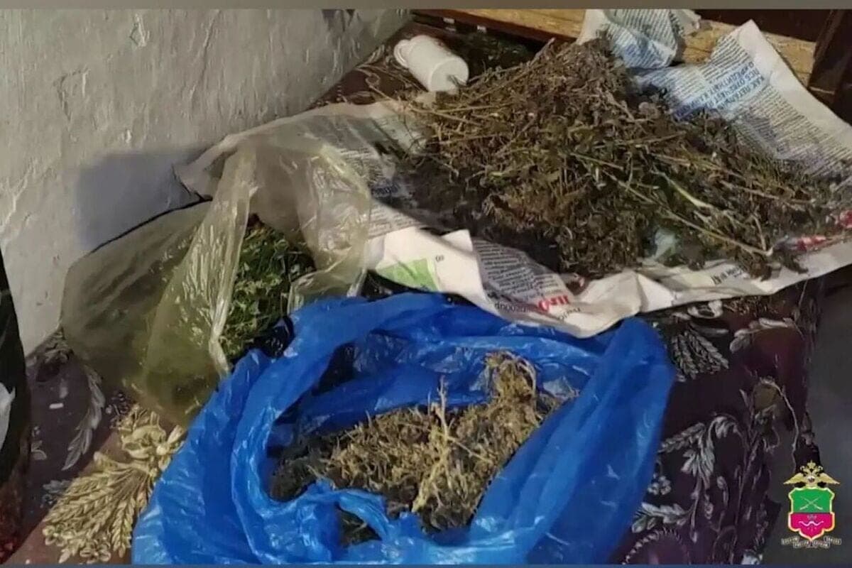 У жителя Мелитопольского района изъяли свыше 500 граммов каннабиса