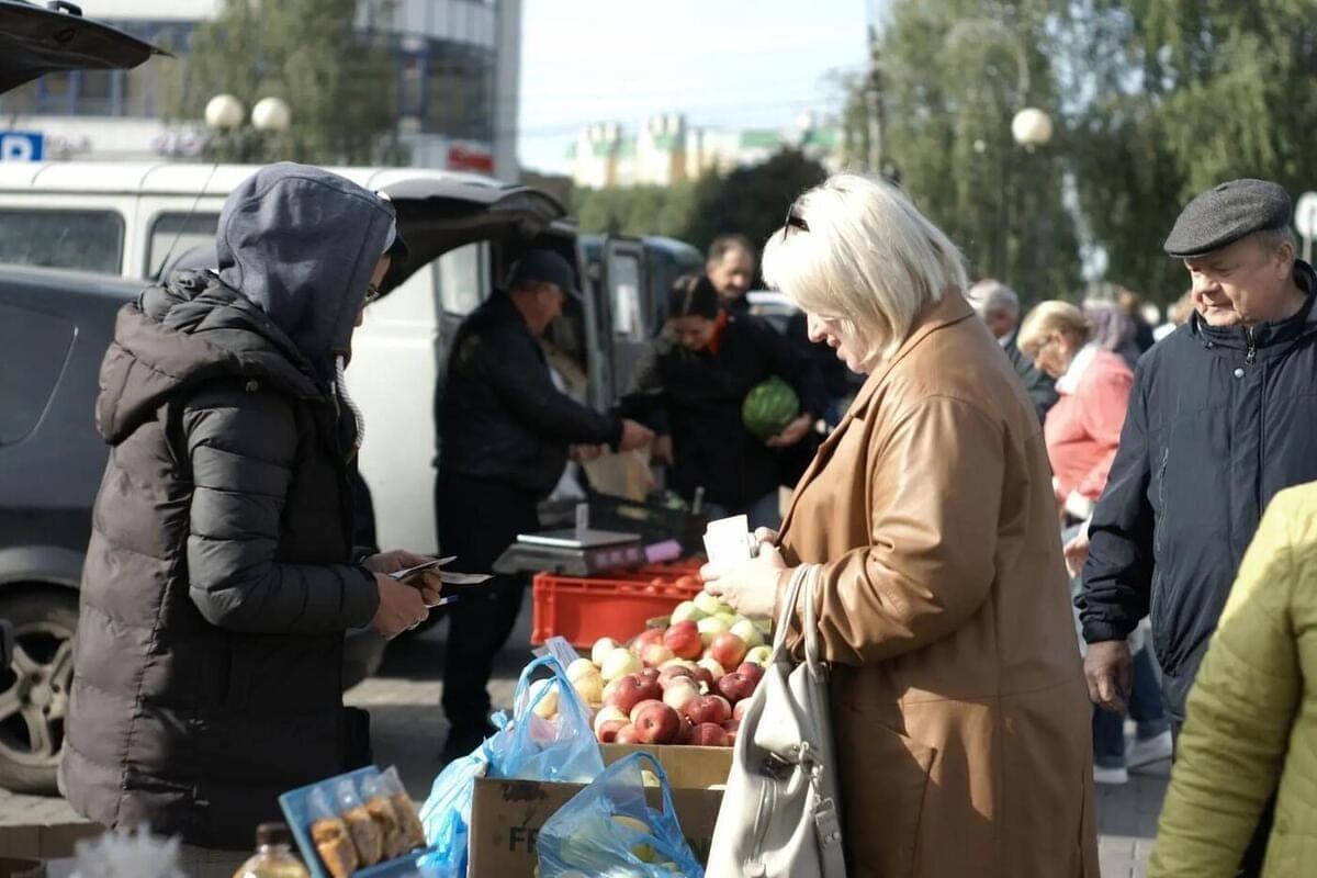 October 24 in Kursk will be held the final agricultural fair