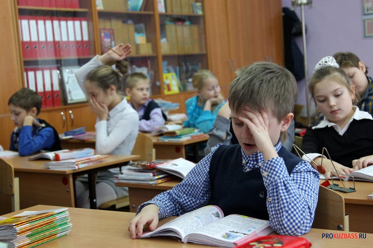 Individual education in primary school: detailed analysis for parents