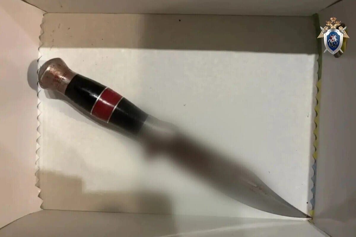 San Petersburgo decidió la pelea con seis puños de un cuchillo en el cuello de un amigo